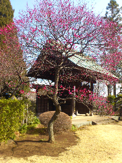 お寺３.png