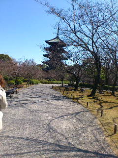 京都４９.png